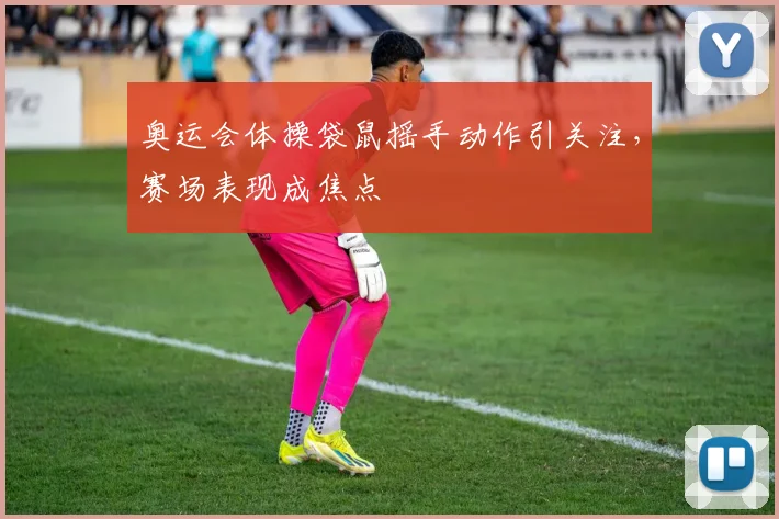 奥运会体操袋鼠摇手动作引关注，赛场表现成焦点
